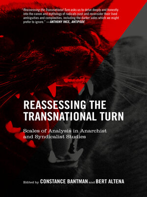 cover image of Reassessing the Transnational Turn